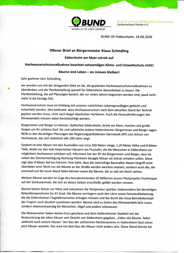 Maindeichsanierung Eddersheim Offener Brief